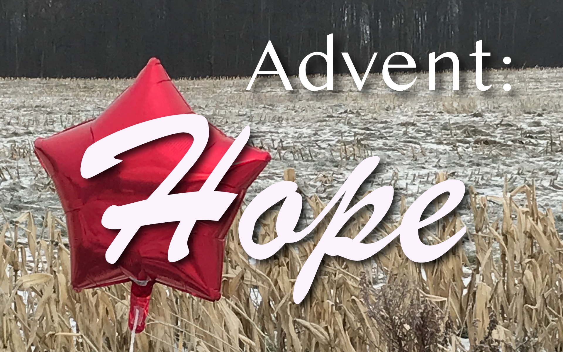 Advent: Hope – The Light!