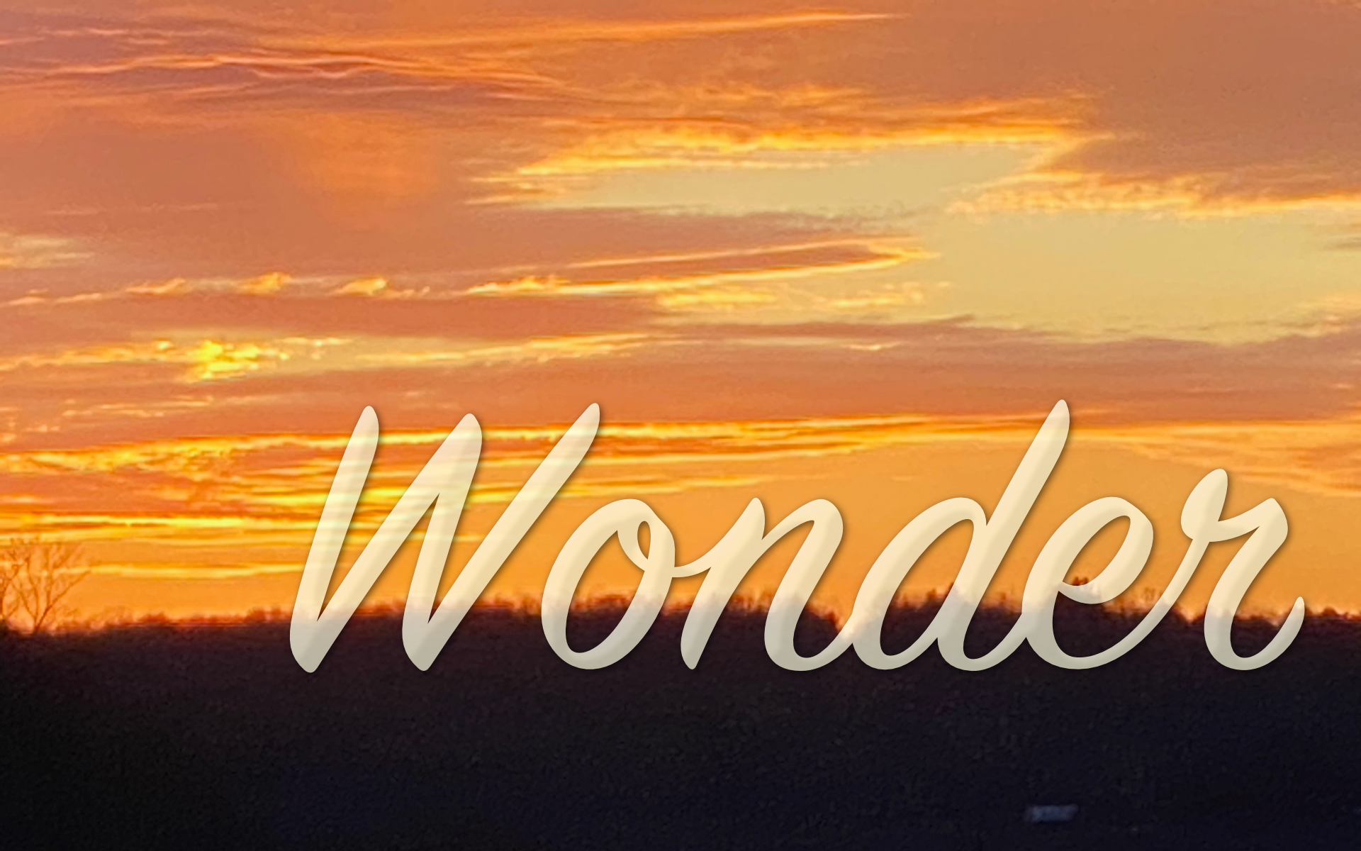 Wonder! With Amy Falke